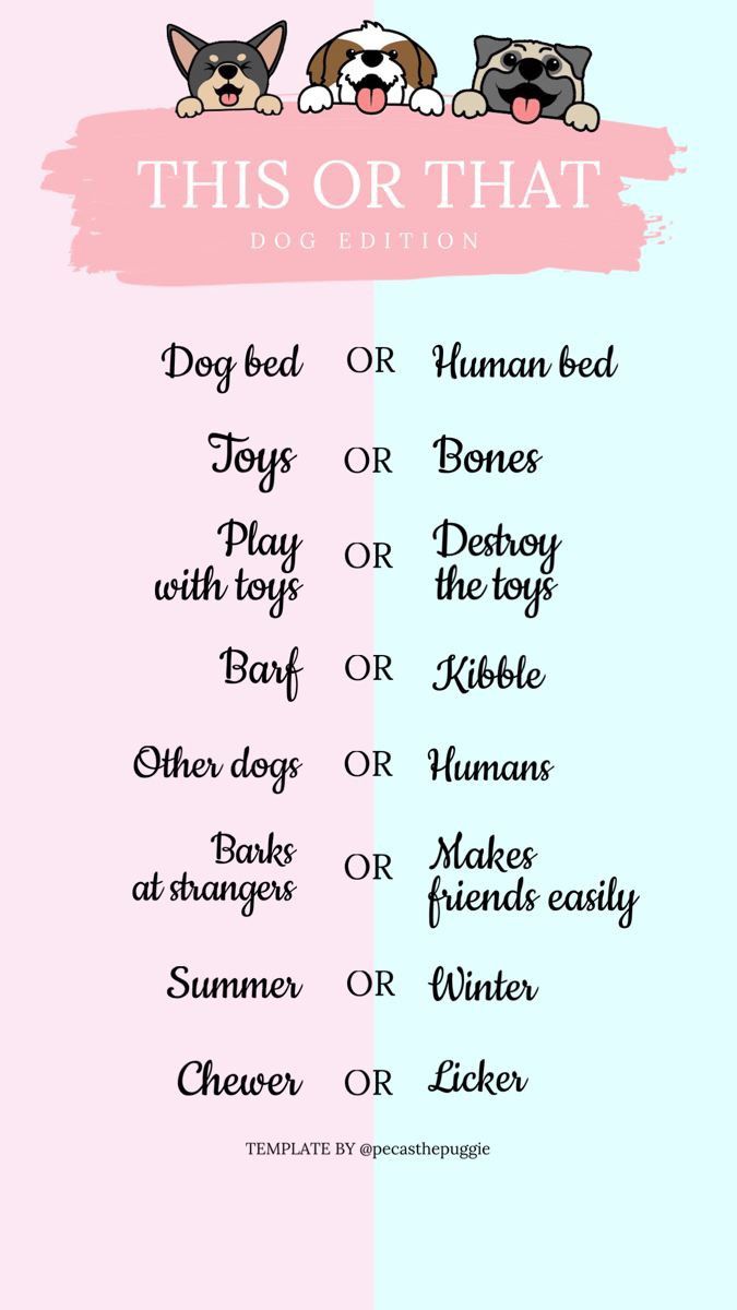 a pink and blue poster with two dogs on it's side, the words dog or that