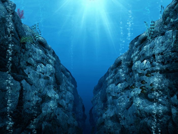 an underwater scene with rocks and plants growing out of them