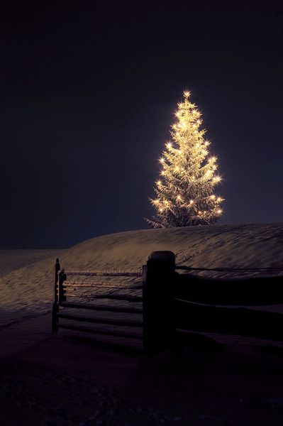 a christmas tree is lit up in the dark with snow on the ground and fence