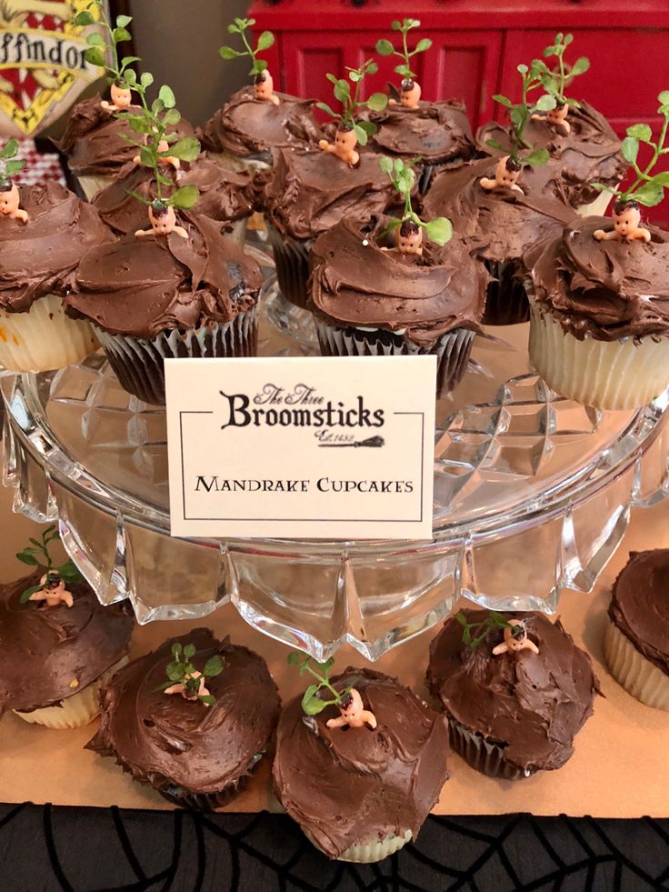 cupcakes with chocolate frosting and sprouts on top are displayed for sale