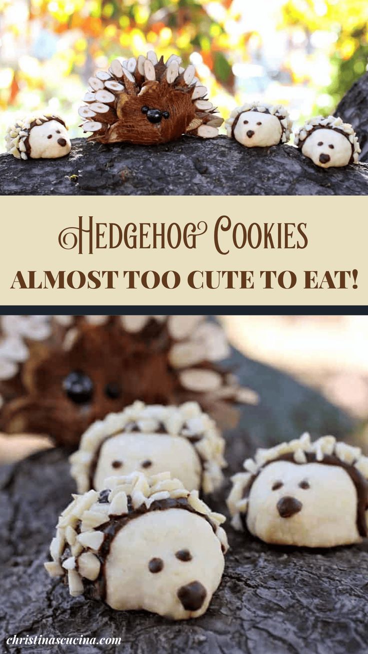 hedgehog cookies that are almost too cute to eat