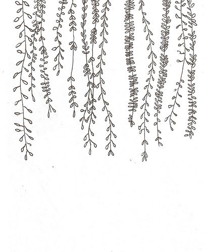 some very pretty looking plants on a white background with black ink in the bottom right corner