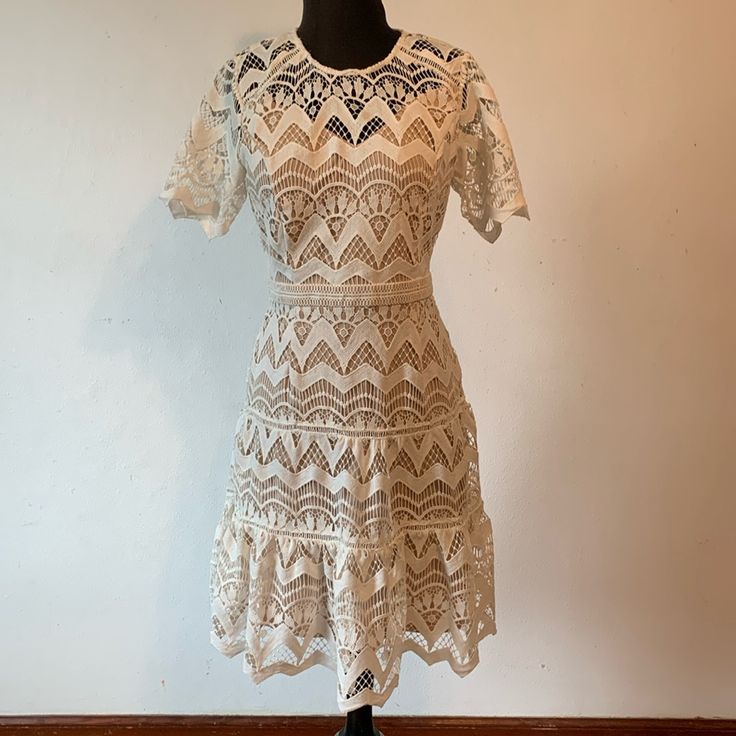 Elegant Ivory/Cream Lace Overlay Dress, Size Small. Attached Nude Slip Lining. Sheer Angular Scalloped Sleeve And Hemline. Back Zipper. Stunning, Beige Scalloped Lace Dress, Beige A-line Midi Dress With Lace Trim, Cream Lace V-neck Mini Dress, Cream V-neck Mini Dress With Lace Trim, Black And White Flannel, Ivory Lace Dress, Vintage Beige Scalloped Lace, Flair Dress, Lace Overlay Dress