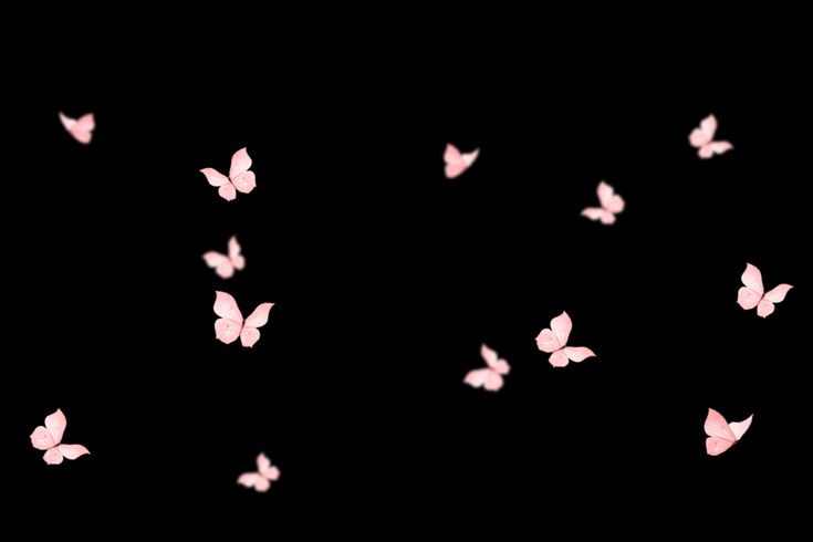 many pink butterflies flying in the dark