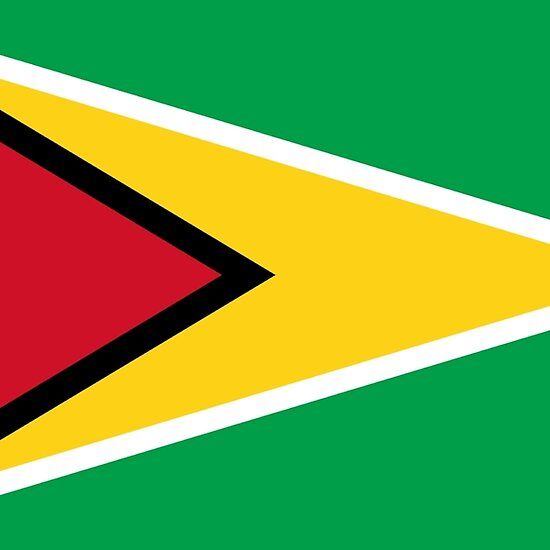 the flag of jamaica is shown in red, yellow and green with a black arrow