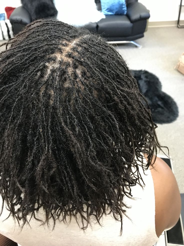 Sisterlocks Journey Before And After, Curled Sisterlocks, Medium Size Sisterlocks, Sisterlocks Vs Microlocks, Sisterlocks Installation, Spring Twist Hair, Micro Twists, Micro Locs, Spring Twists