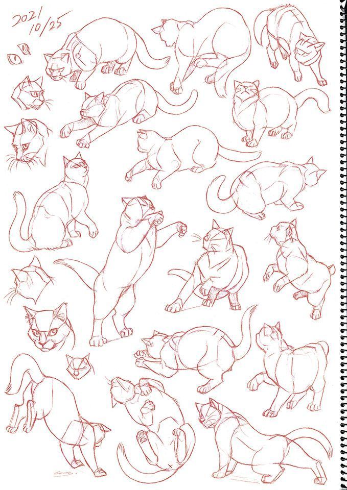 an image of cats that are drawn in red pencil on white paper with the caption's name below it