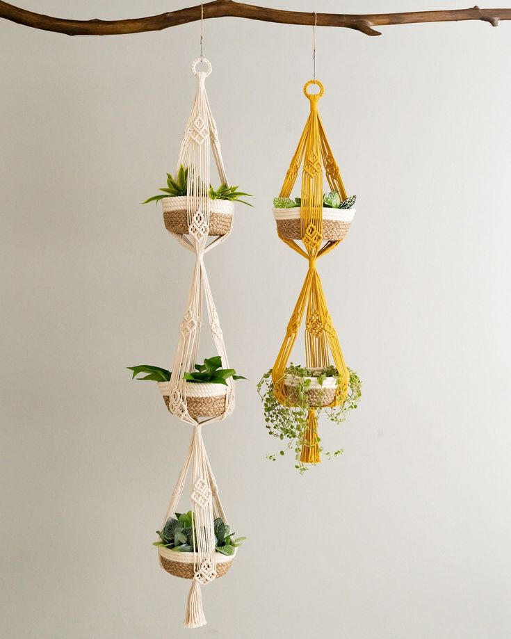 three hanging planters with plants in them