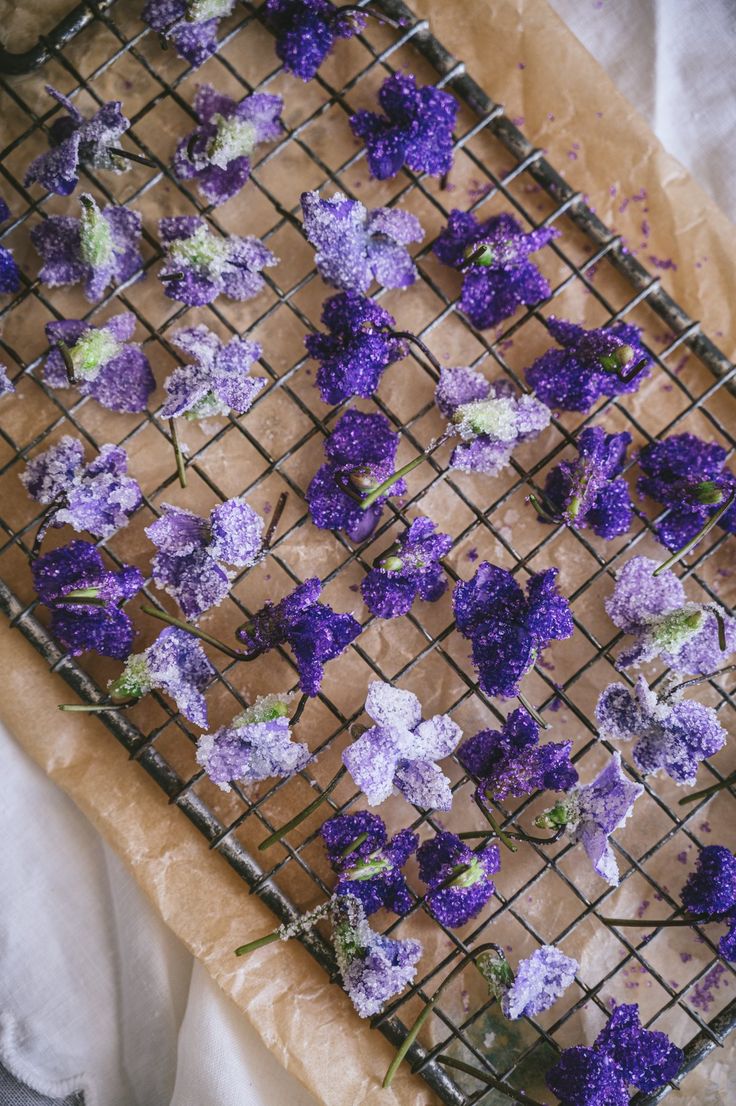 some purple flowers are on a wire rack