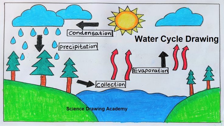 Water Cycle drawing  science project | paper chart | science drawing  @howtofunda   @craftpiller ​ Simple Water Cycle Diagram, Easy Water Cycle Drawing, Condensation Drawing, Water Cycle Drawing Art Projects, Evaporation Drawing, Water Cycle Project Poster, Water Resources Project, Condensation Water Cycle, Water Cycle Chart