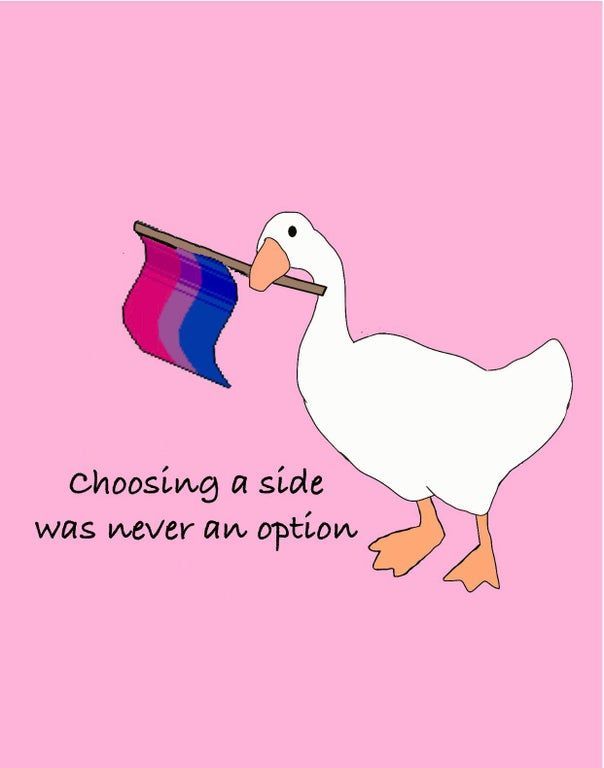 a duck with a paintbrush in it's beak and the words choosing a side was never an option