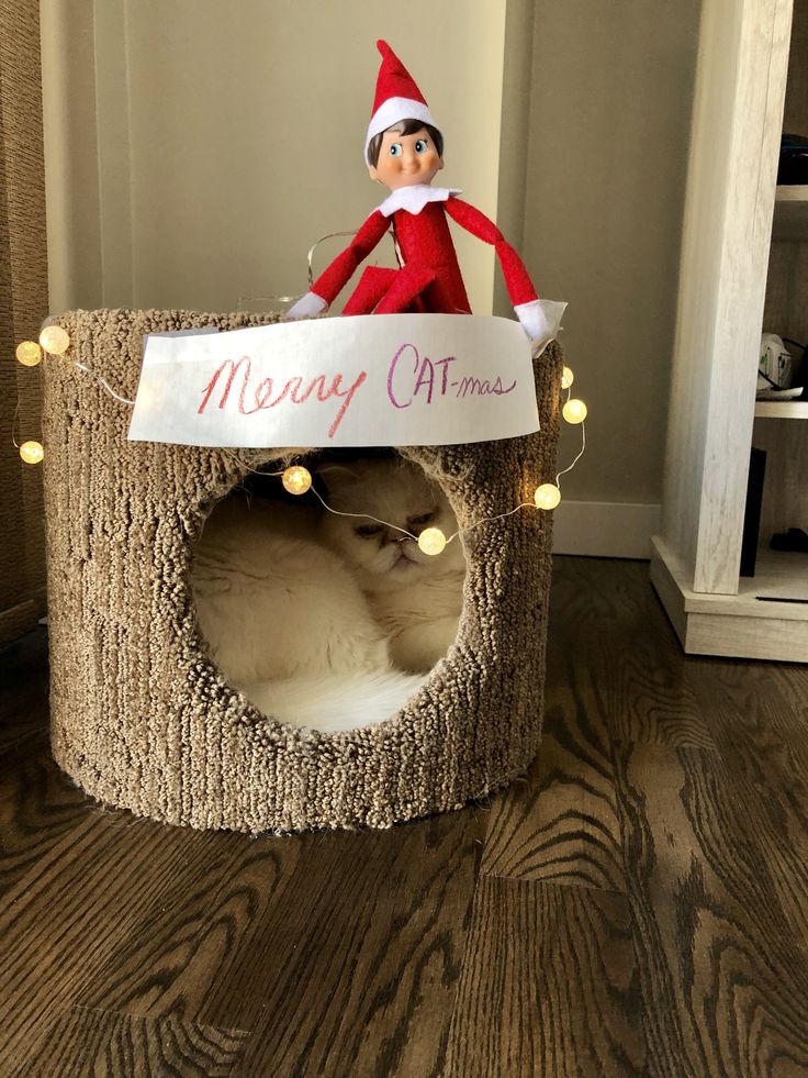 an elf is sitting on top of a cat bed with a sign that says merry christmas