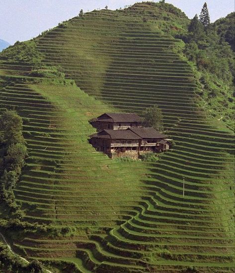 a house on the side of a hill with grass growing all over it's sides