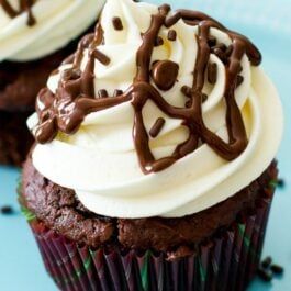 two chocolate cupcakes with white frosting and sprinkles on top