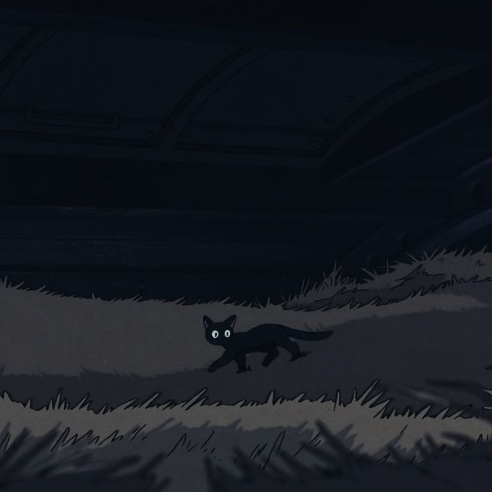 a black cat walking across a grass covered field in the dark with eyes glowing on it's face