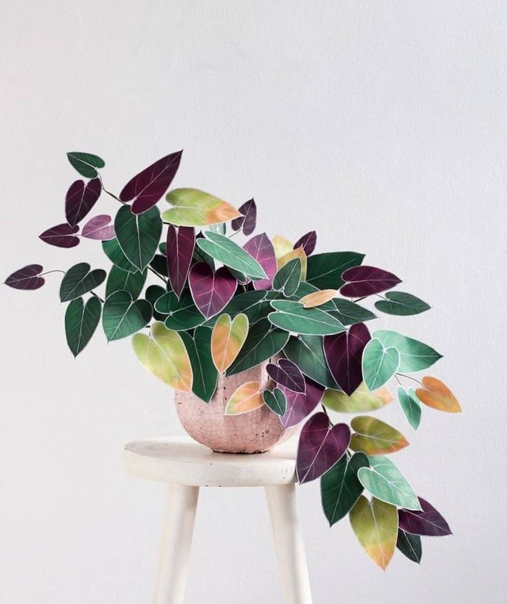 a potted plant sitting on top of a stool