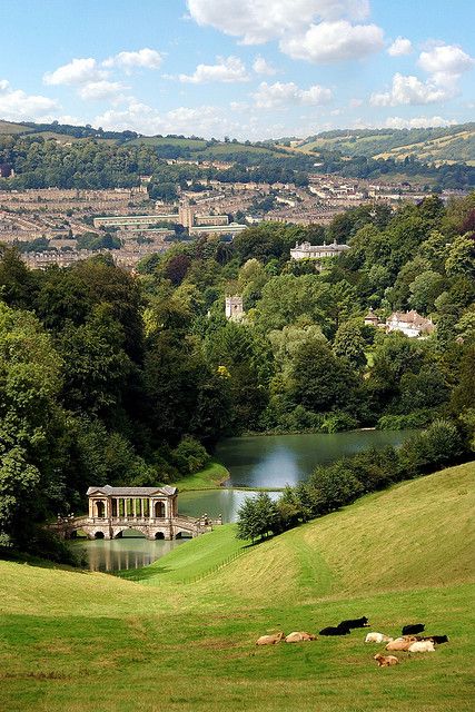 cows graze on the grass in front of a lake and lush green hills below