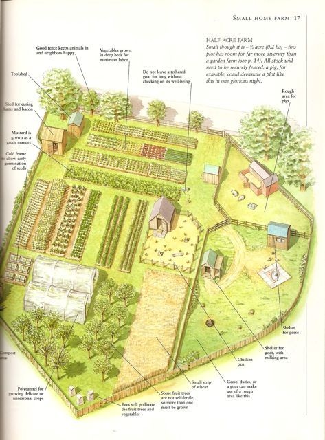 an image of a garden with diagrams on it