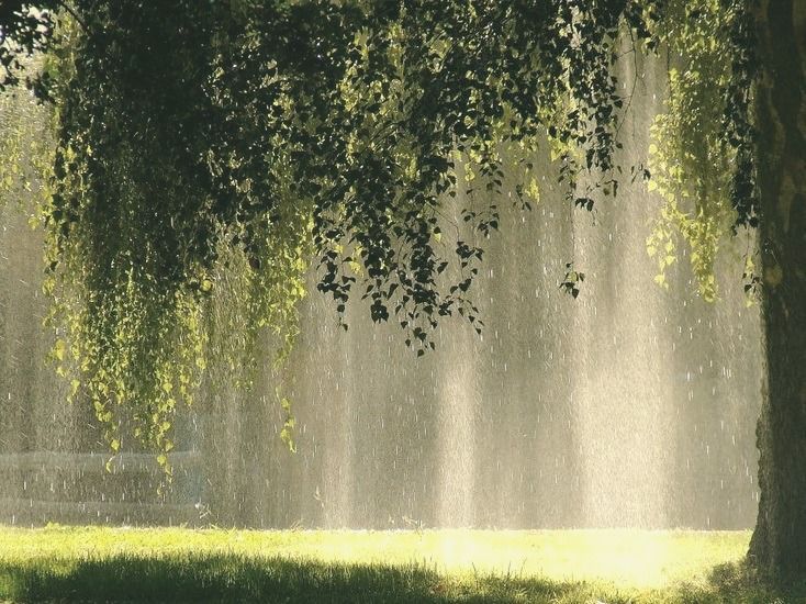 the sun is shining through the trees and water spewing from it's sides