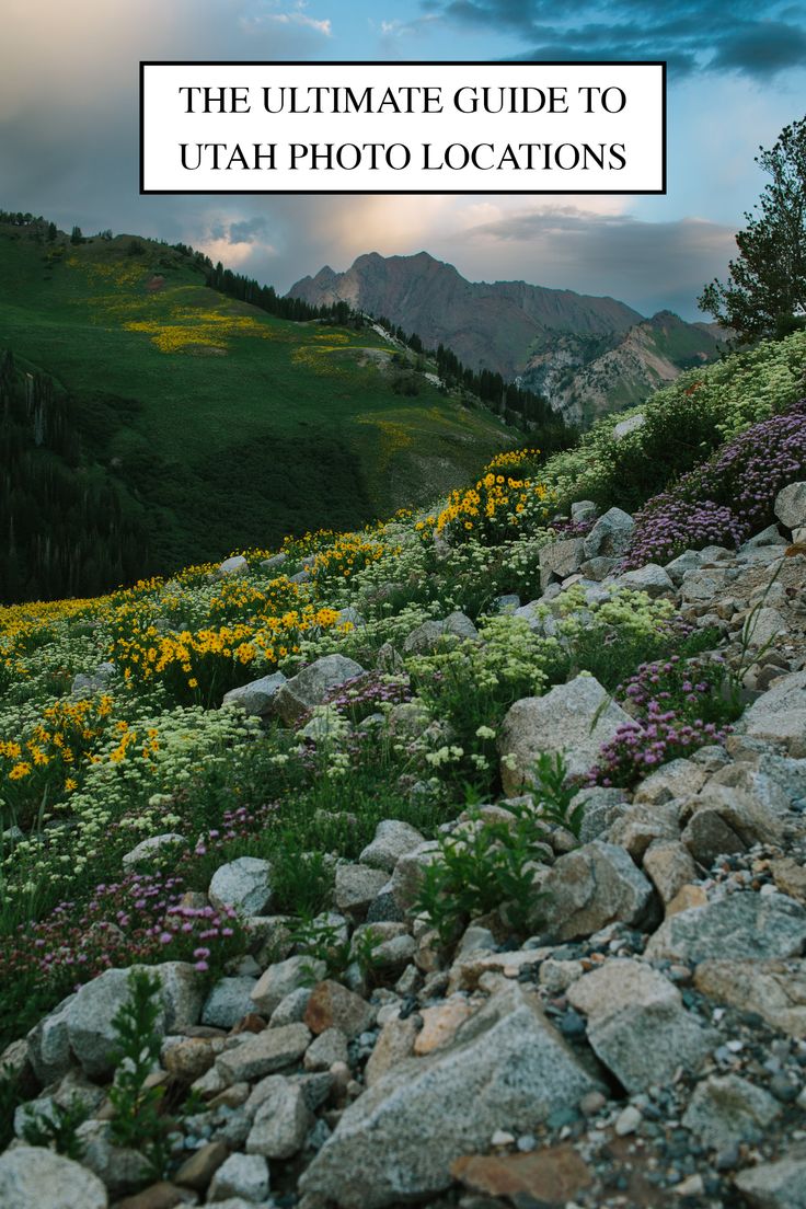 the ultimate guide to utah photo locations with text overlaying image of mountains and wildflowers