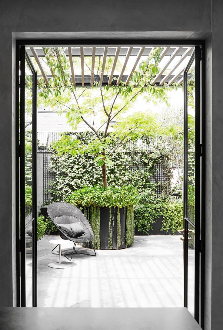 an open door leading to a patio with plants on the ground and trees in the background