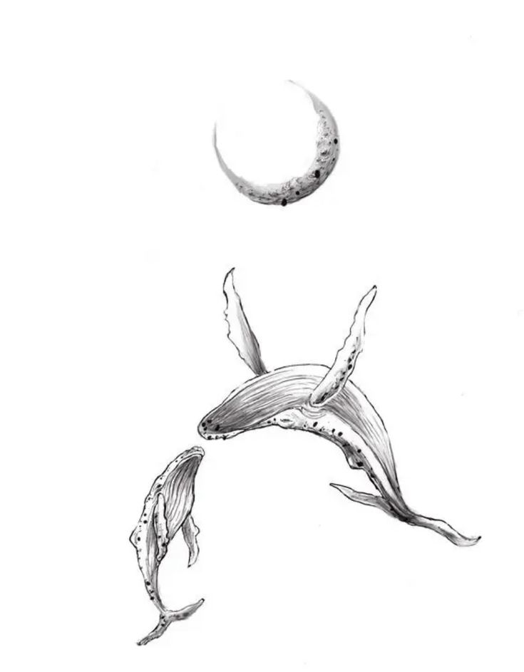 a drawing of two dolphins jumping in the air with a half moon above them, and one dolphin leaping out of the water