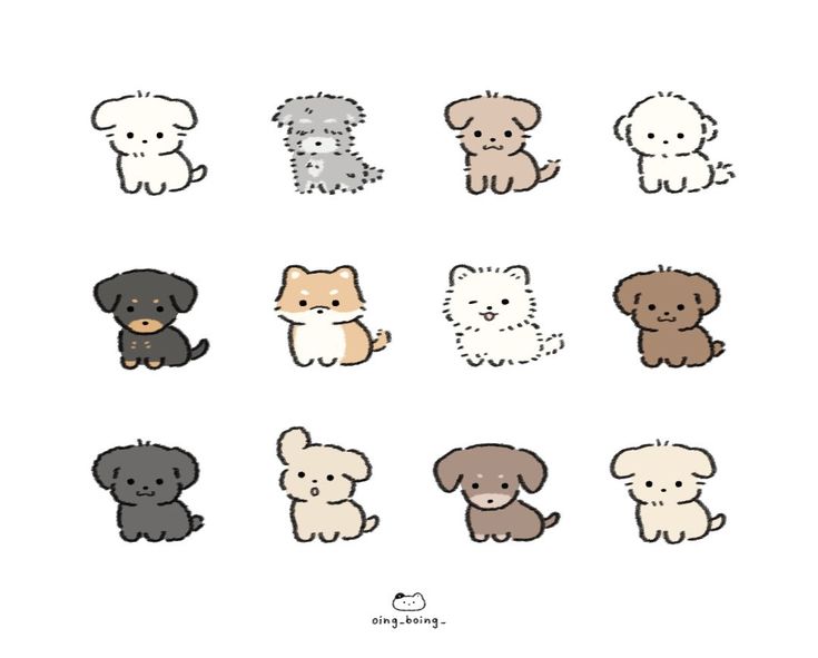 the different types of dogs are shown in this drawing technique, which is easy to draw and