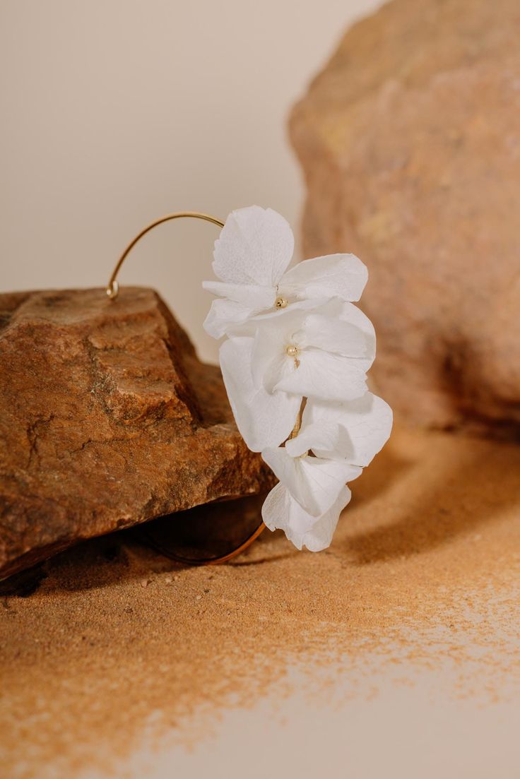 a white flower sitting on top of a rock