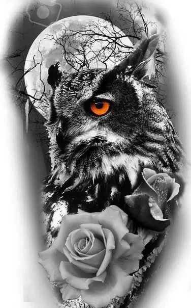 an owl with orange eyes and roses