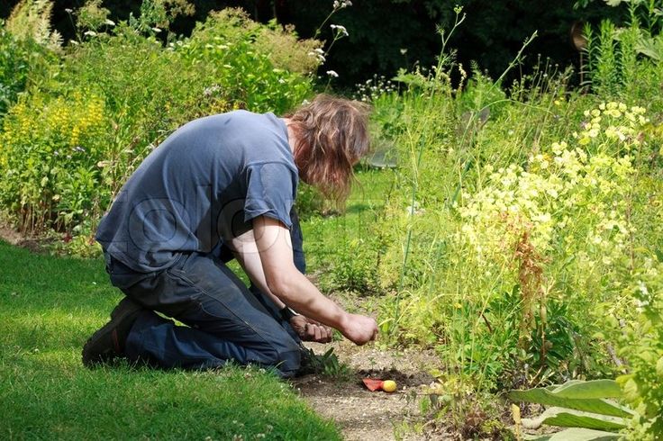 a man kneeling down in the grass next to plants