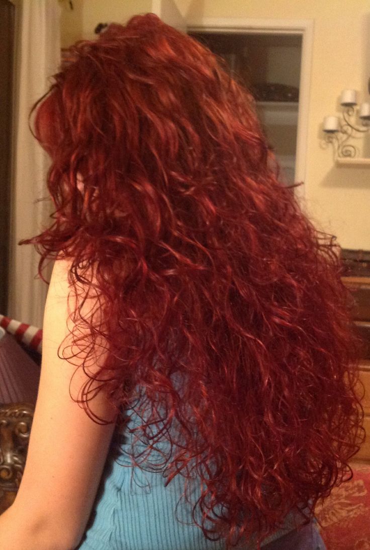 Long Curly Red Hair Aesthetic, Red 2c Hair, Red Coily Hair, Long Curly Red Hair Dyed, Red Cherry Hair Curly, Curly Redhead Aesthetic, Curly Dyed Red Hair, Wavy Red Hair Dyed, Red Hair Curly Dyed