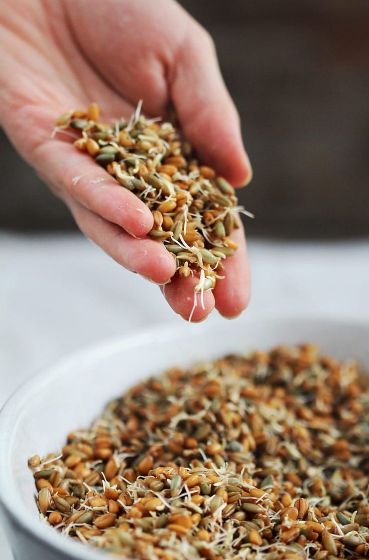 a person is sprinkling seeds into a white bowl