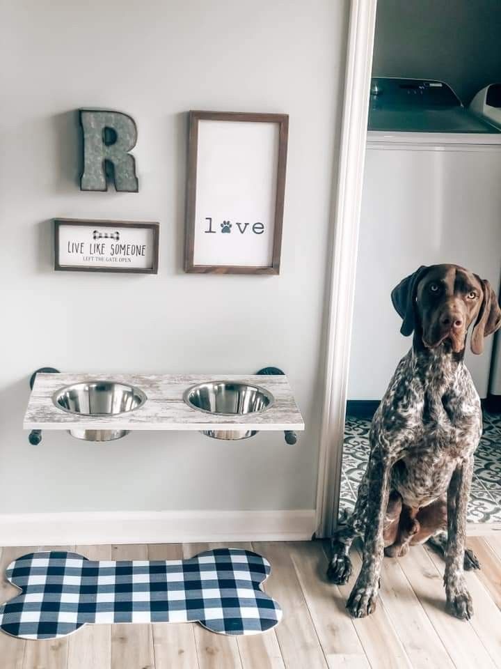 a dog sitting on the floor next to two bowls and a bone shaped dish rack