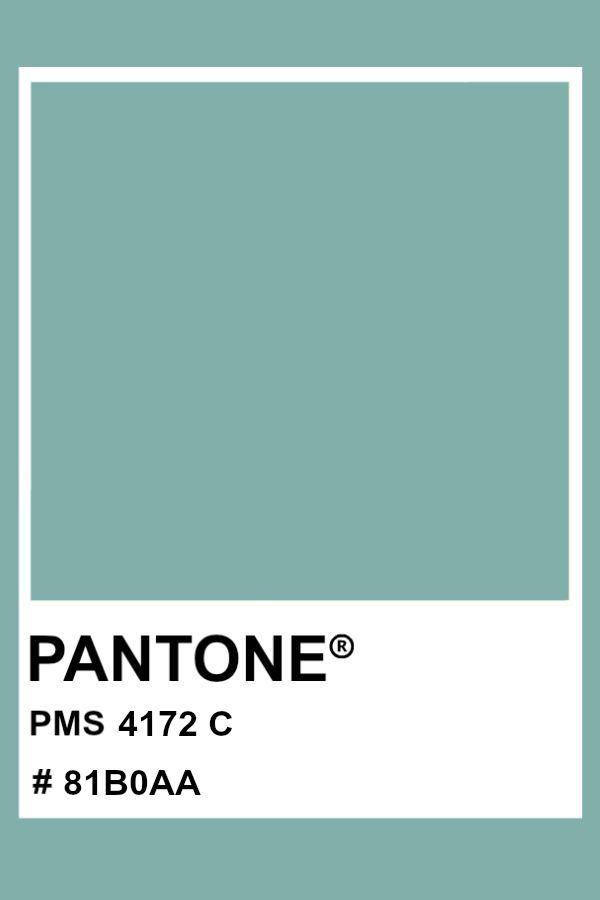 the pantone color is shown in this image