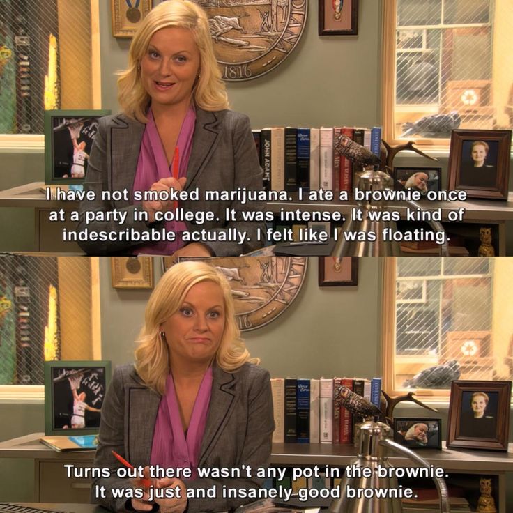 I ate a brownie once. (Parks and Recreation) Parks And Rec Party, Parks And Recreation Quotes, Parks And Rec Memes, Parcs And Rec, Parks And Rec Quotes, Funniest Quotes, Covert Affairs, Tv Funny, Parks And Rec