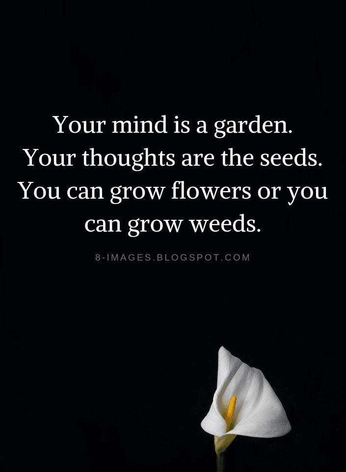 a white flower sitting in the middle of a black background with a quote on it