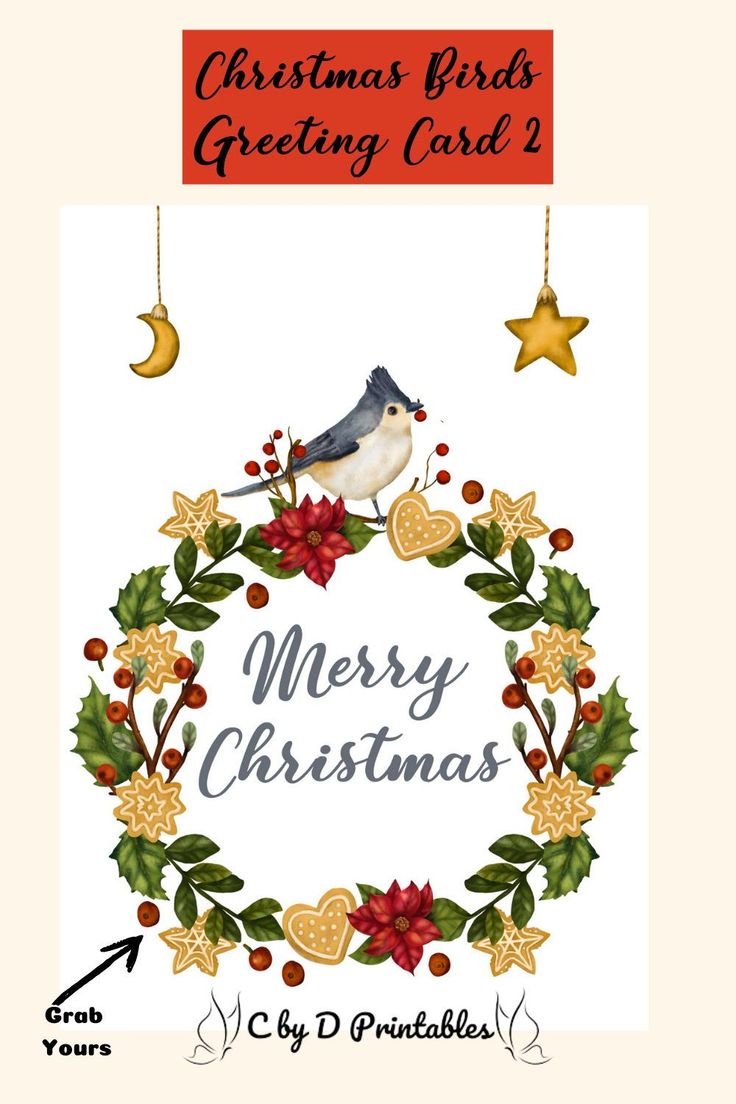 a christmas card with a bird and holly wreath