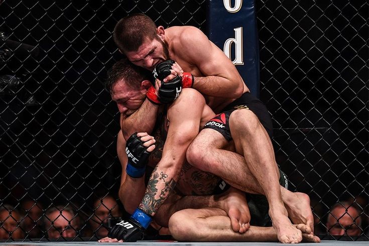 two men are wrestling in a caged area