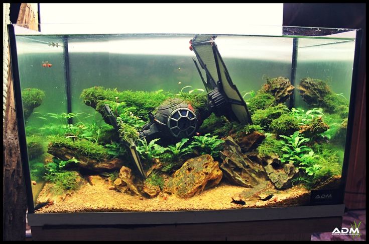 an aquarium filled with green plants and rocks