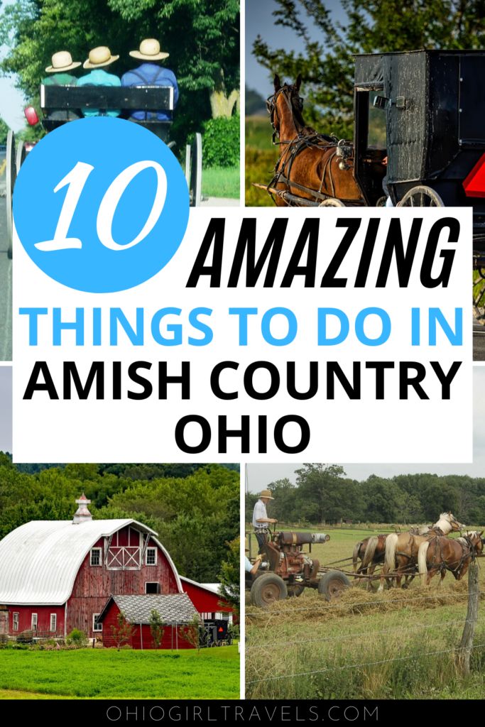 the words 10 amazing things to do in amish country, ohio with pictures of farm equipment and horses