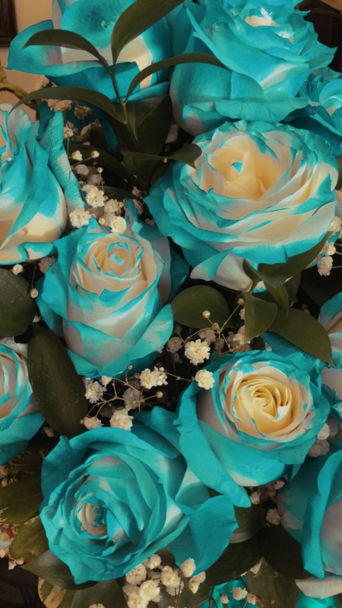 a bouquet of blue roses with baby's breath