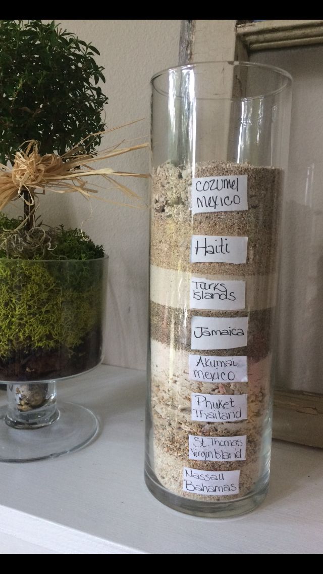 a glass vase filled with dirt and moss sitting on top of a counter next to a potted plant