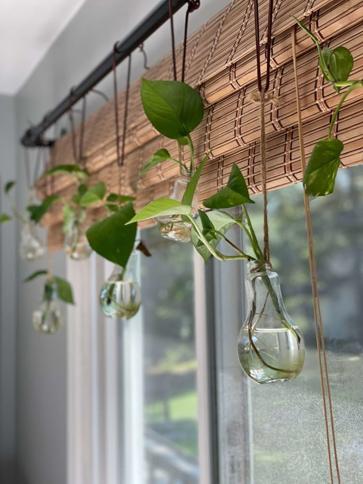 some plants are hanging from a window sill