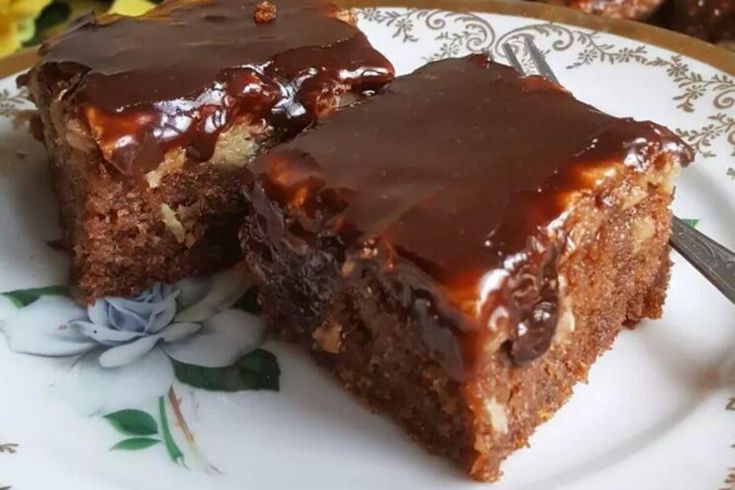 two pieces of chocolate cake on a plate