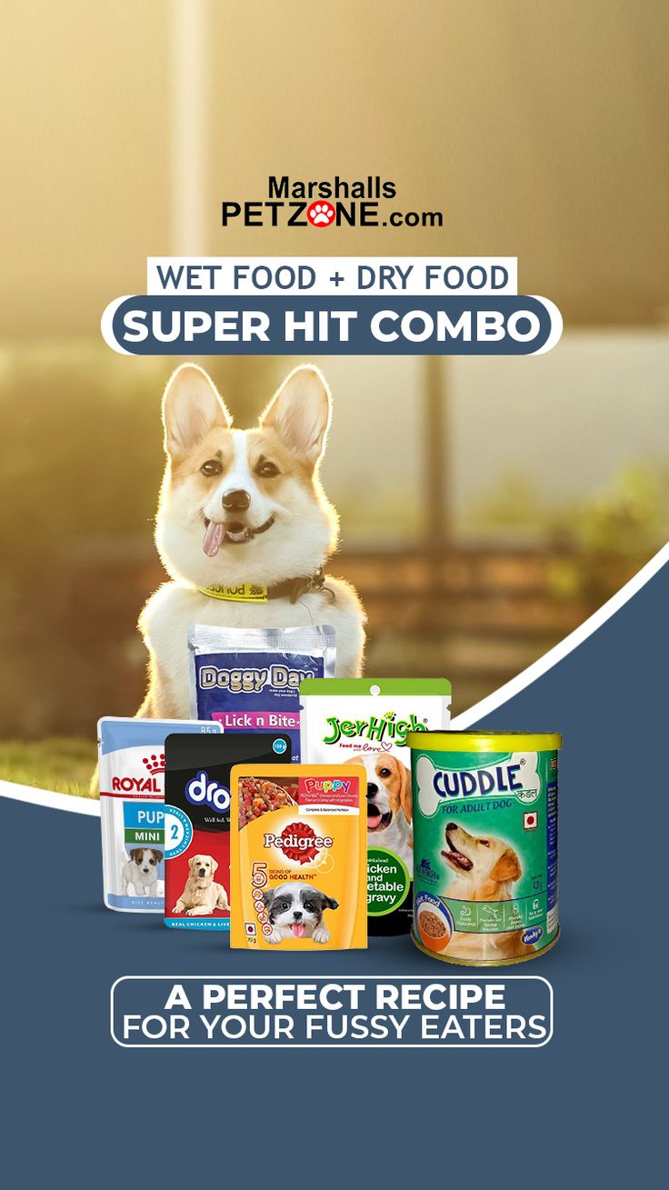 an advertisement for pet food with a dog in the background