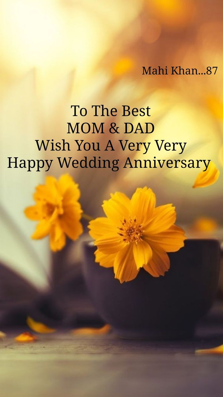 two yellow flowers in a black cup with the words to the best mom and dad wish you a very very happy wedding anniversary