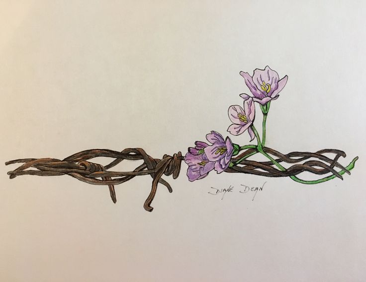 a drawing of some flowers and barbed wire