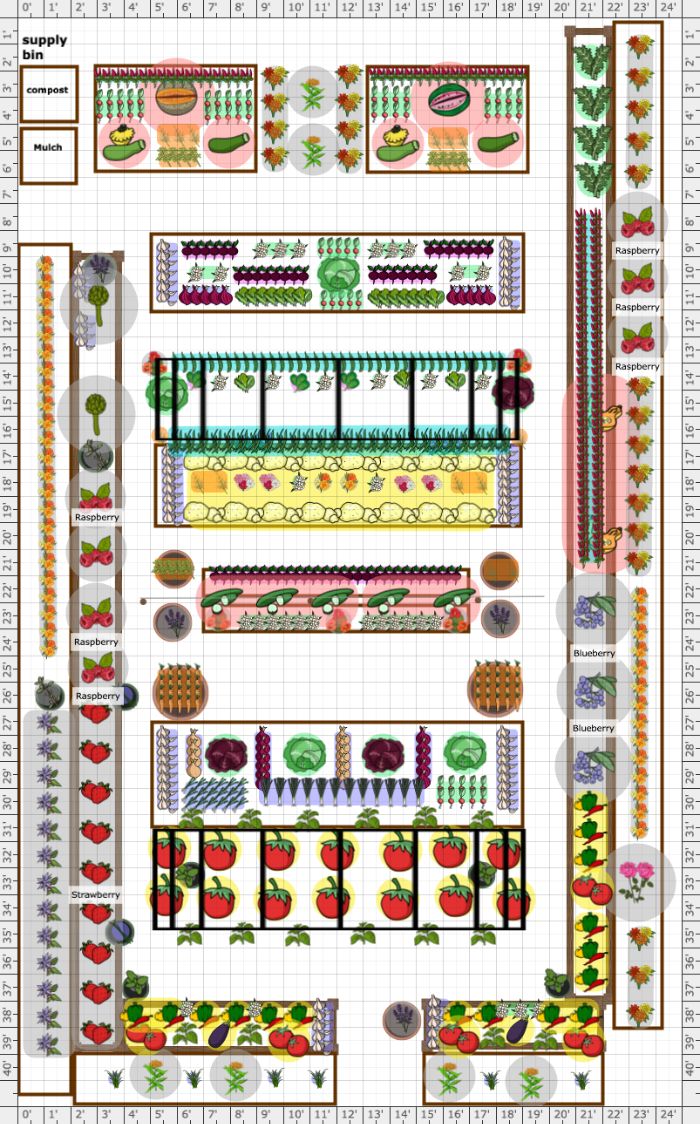 a garden plan with lots of different plants