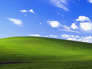 a green field with blue sky and clouds in the background