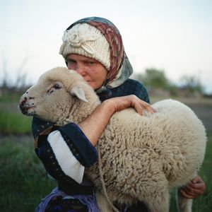 a woman holding a sheep in her arms